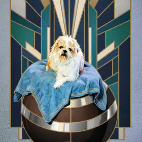 Justice Scoobie