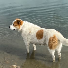 Pablo
