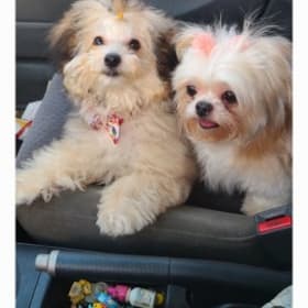Itsy and molly