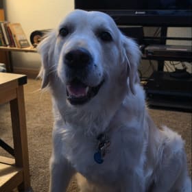 Bella