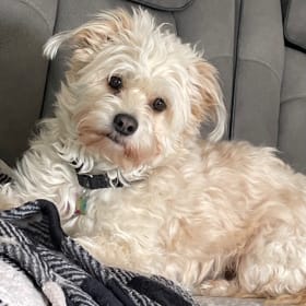 Charlie