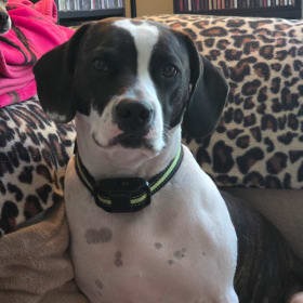Roxy