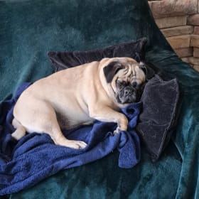Fiona