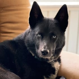 Duke