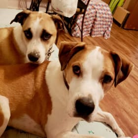 Rockie and Dozer