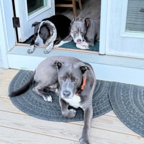 Drax  Georgia and Lucy