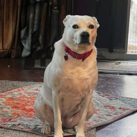 Hilda