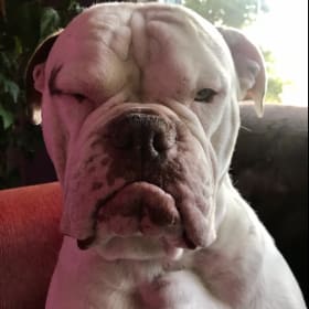 George