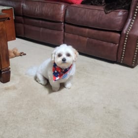Oscar