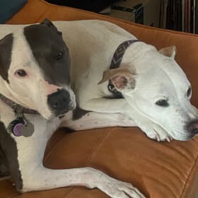 Paisley and Hashbrown