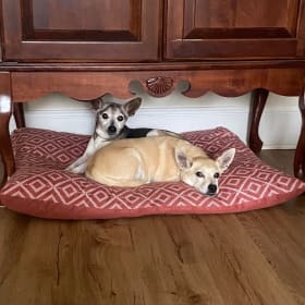 Raphael and Betsy