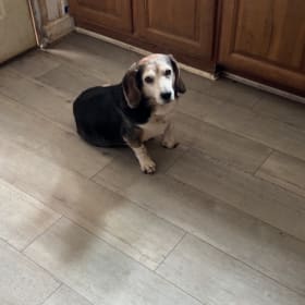 Ruger