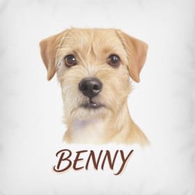 BENNY