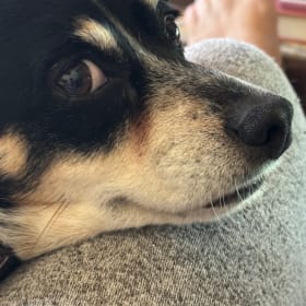 Nacho