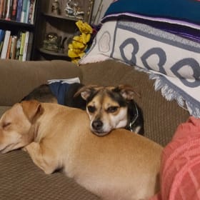 Gus and pinky