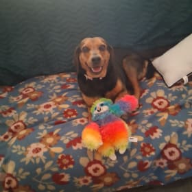 Daisy Jane