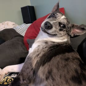 Zoey