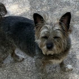 Sophie