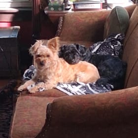Harry and Oona