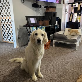 Enzo