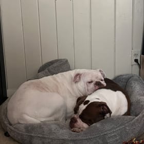 Daisy and Fiona