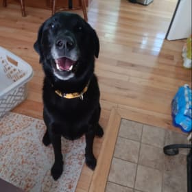 Max