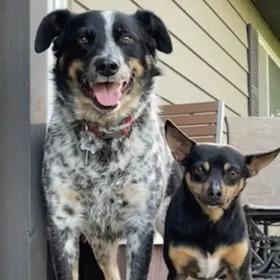 Kiya and Leo