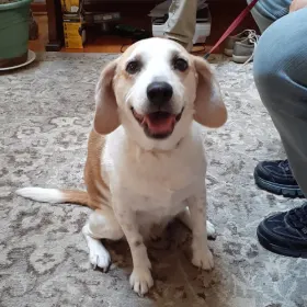 Lilly
