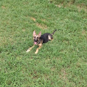 Athena