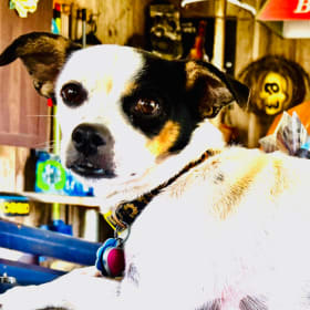 Maggie Mae