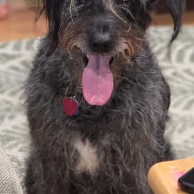 Lulu