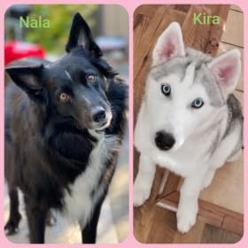 Nala and Kira