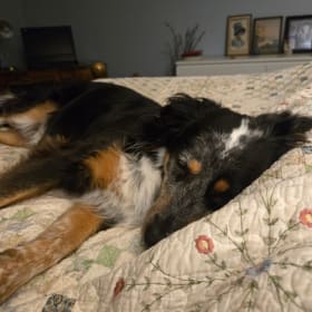 Axle