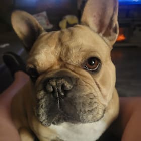 Zoey