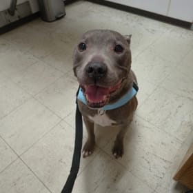 Ella
