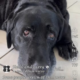 Ranger