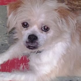 Coco