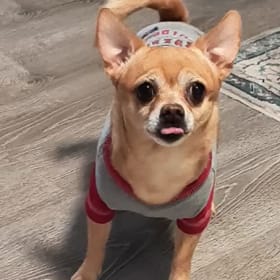Simon