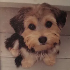 Charlie