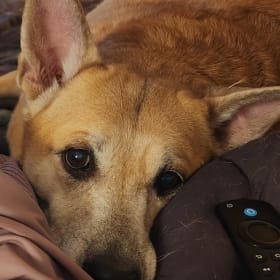 Zoe