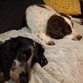 Reggie and Evie