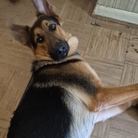 Max