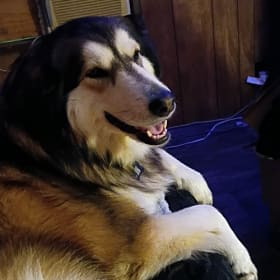 Kya