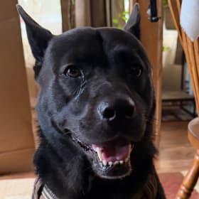 Bubba
