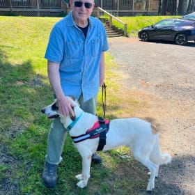 Adopted Happy tails furever Alfie
