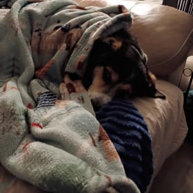 Mooford aka Moo