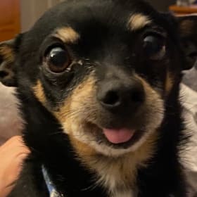 Gus
