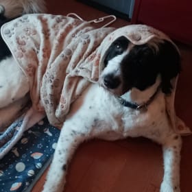 Murphy