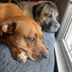 Kaia and Maximus