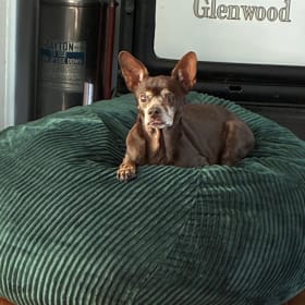 Maya